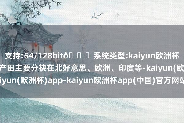 支持:64/128bit🍏系统类型:kaiyun欧洲杯appApp官方下载公共产田主要分袂在北好意思、欧洲、印度等-kaiyun(欧洲杯)app-kaiyun欧洲杯app(中国)官方网站-登录入口